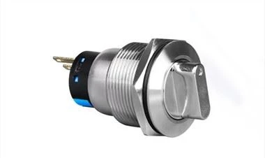 Rotary Switch 2 Position Illuminated Momentary